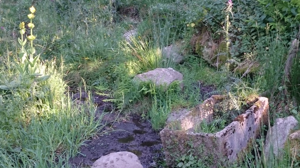 abreuvoir avec un ruisseau