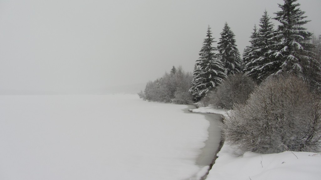 Les berges du lac sous la neige et le givre.